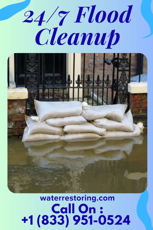 24/7 Flood Cleanup in Woodland, MS