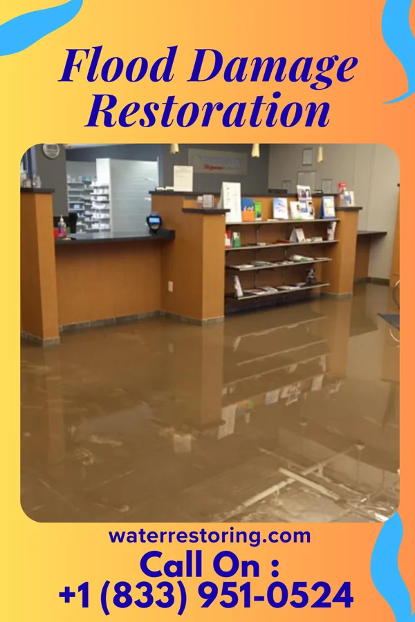 Flood Damage Restoration in Woodland, MS