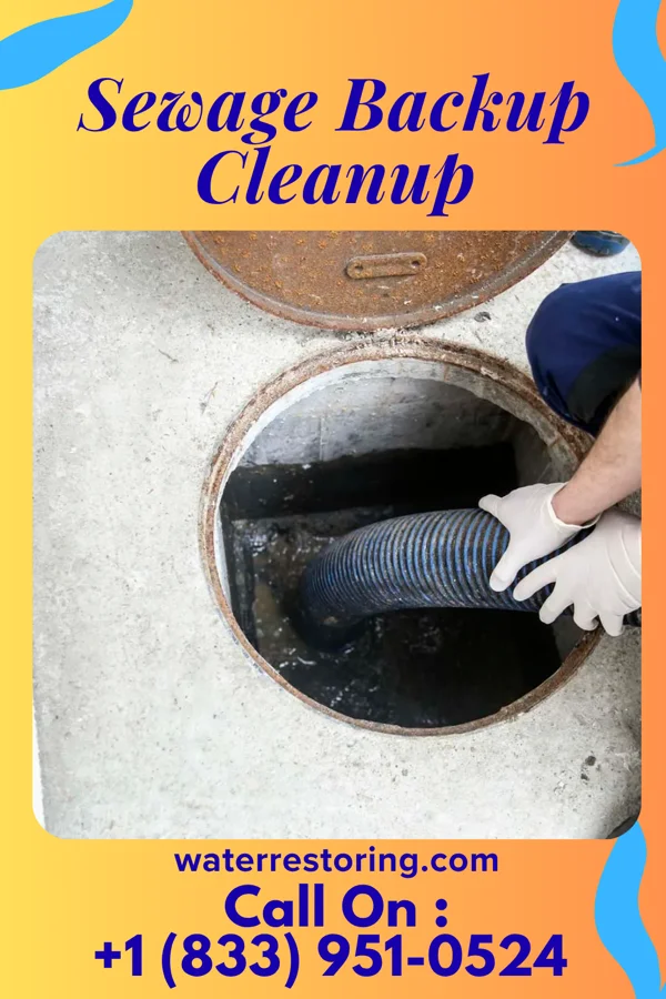 Sewage Backup Cleanup in Woodland, MS