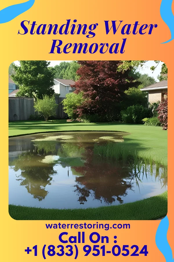 Standing Water Removal in Woodland, MS